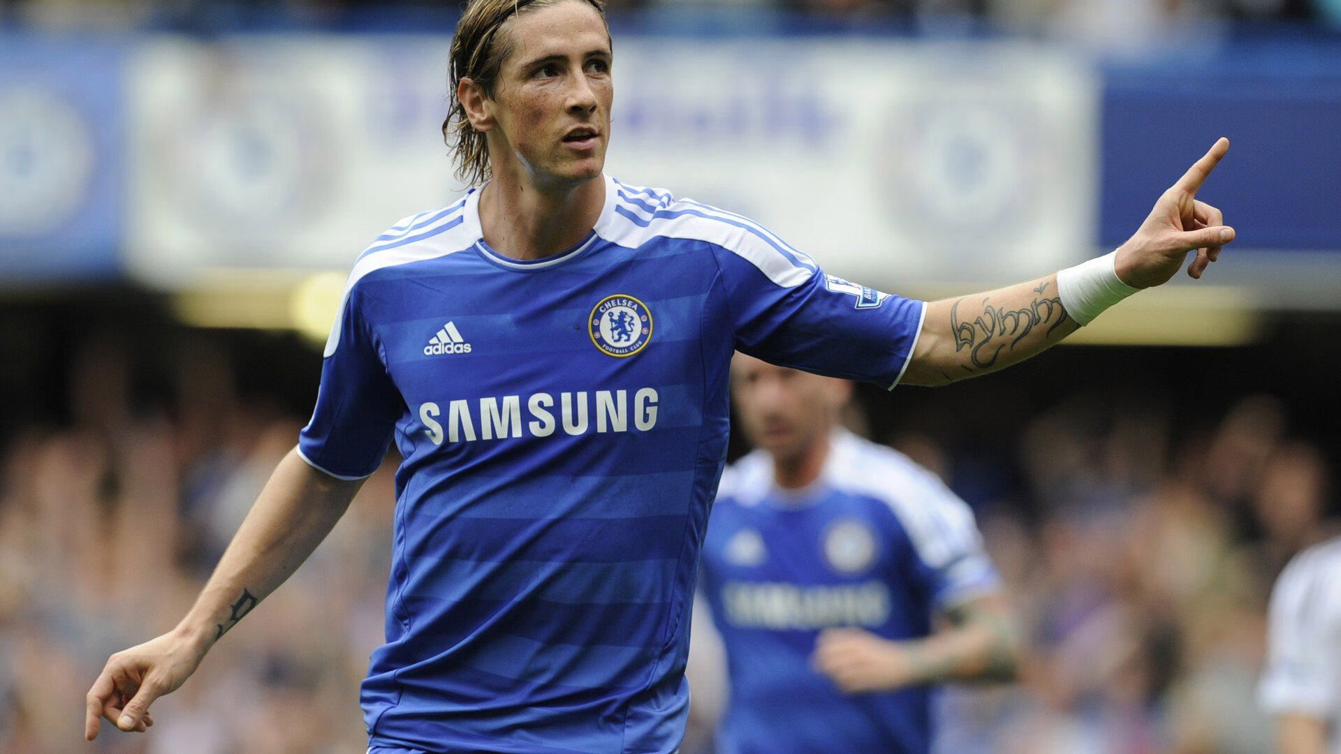 文班亚马,当独角兽在麦迪逊花园咆哮